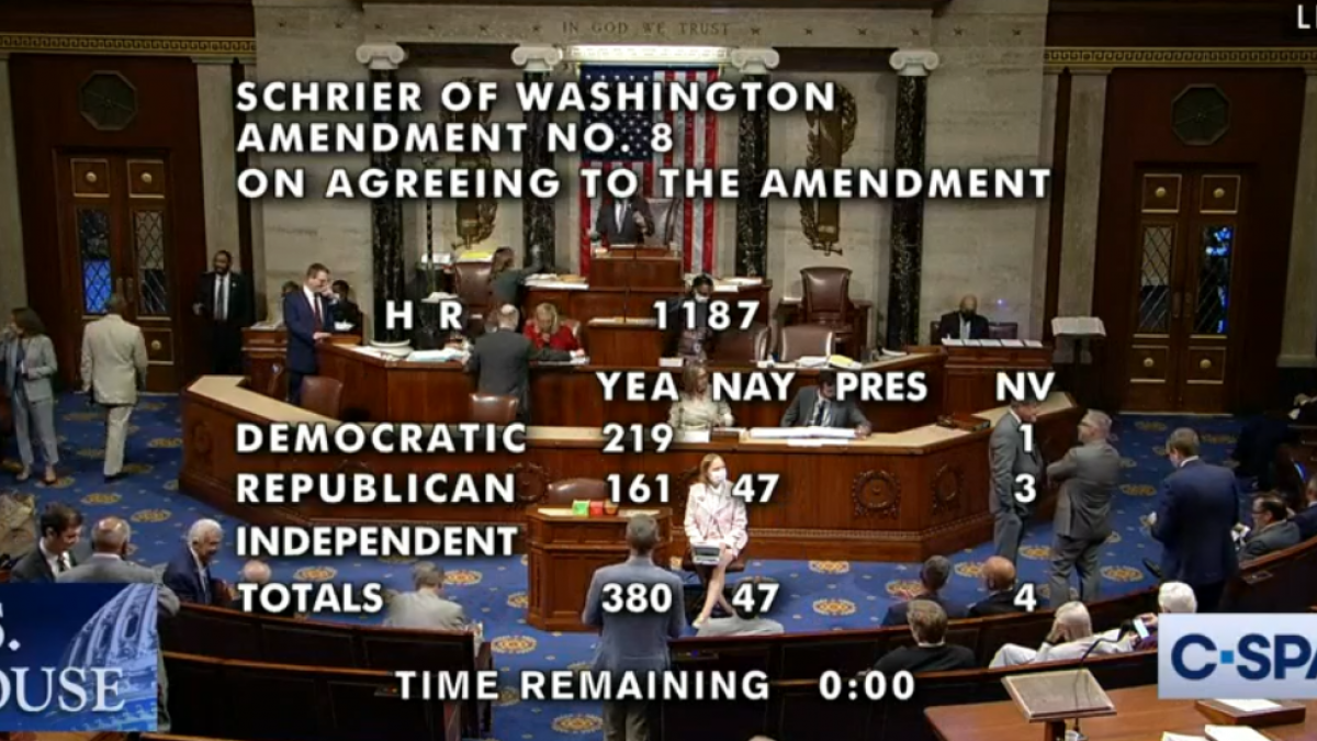 Rep. Schrier's Amendment Vote