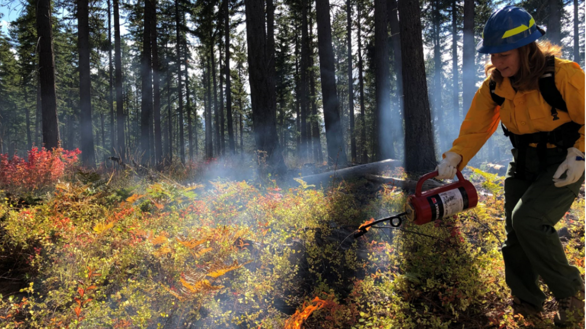 Rep. Schrier in a forest with a drip torch