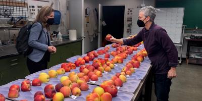 Rep. Schrier with apple grower