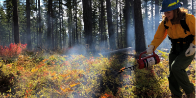 Rep. Schrier in a forest with a drip torch